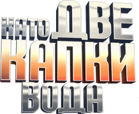 Като две капки вода - сезон 13