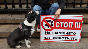 Протести срещу насилието над животните в няколко града у нас