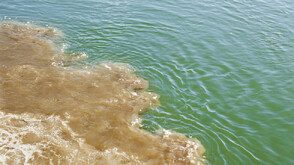 За 10 дни са проверени три сигнала за замърсяване на водите край Варна